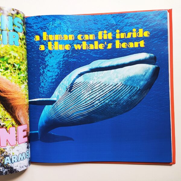 It's FACTS-inating!!! Amazing Animal Facts