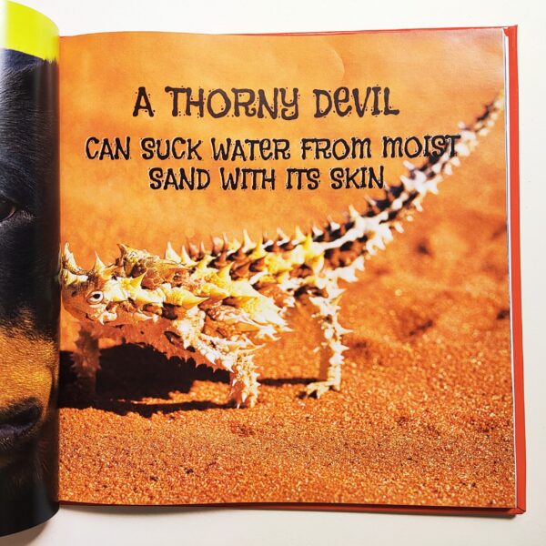 It's FACTS-inating!!! Amazing Animal Facts